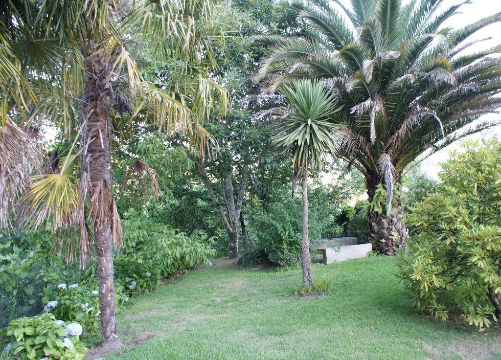 Quinta De Canhoes São Pedro do Sul Esterno foto