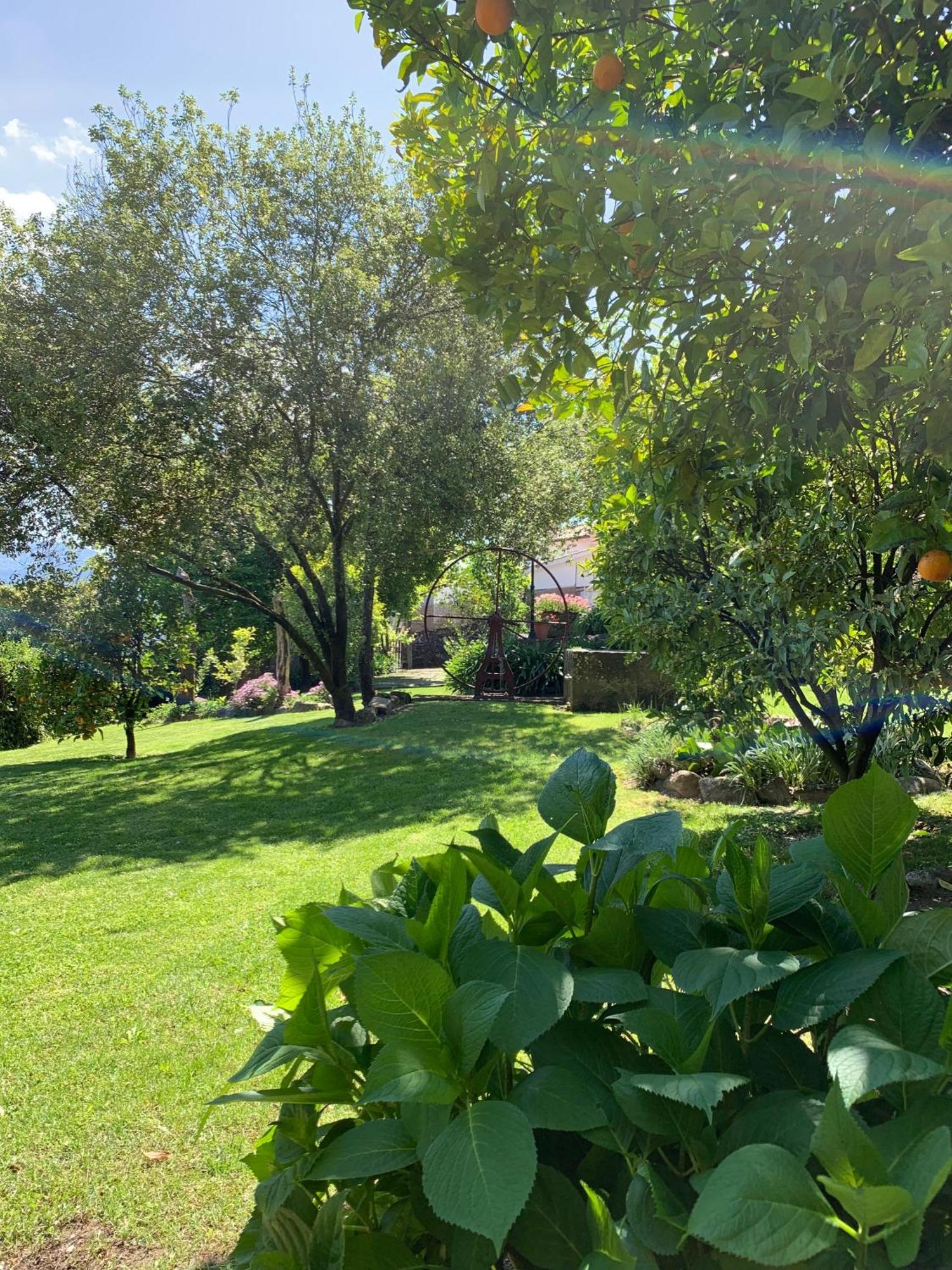 Quinta De Canhoes São Pedro do Sul Esterno foto