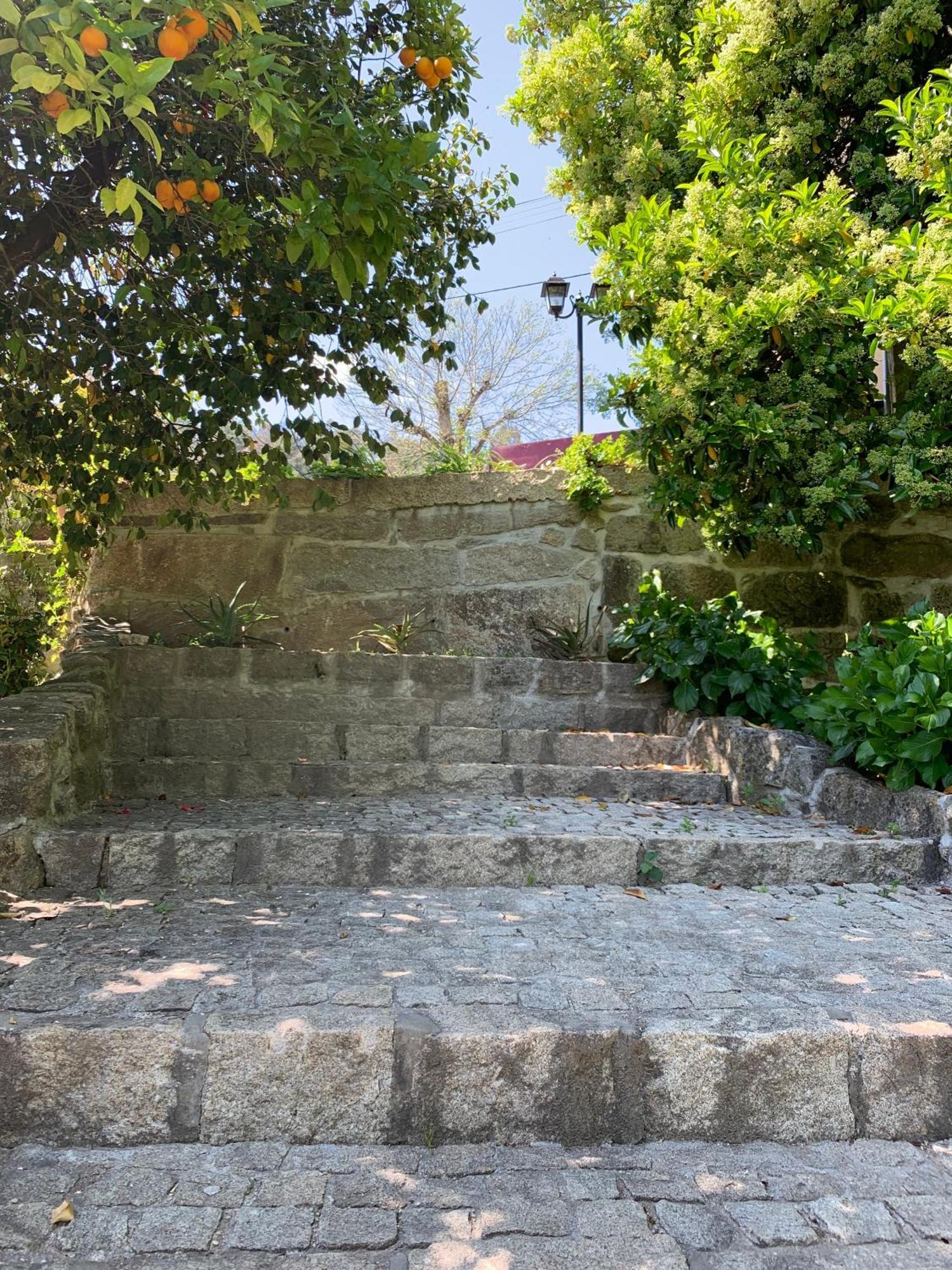 Quinta De Canhoes São Pedro do Sul Esterno foto
