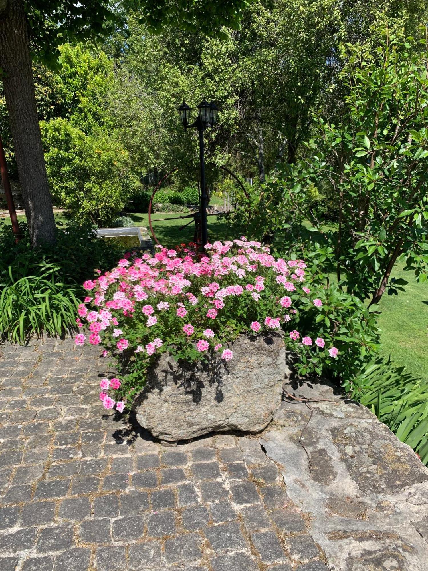 Quinta De Canhoes São Pedro do Sul Esterno foto