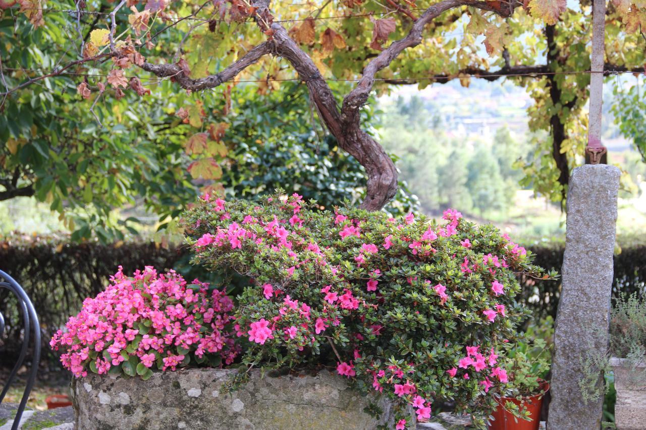 Quinta De Canhoes São Pedro do Sul Esterno foto